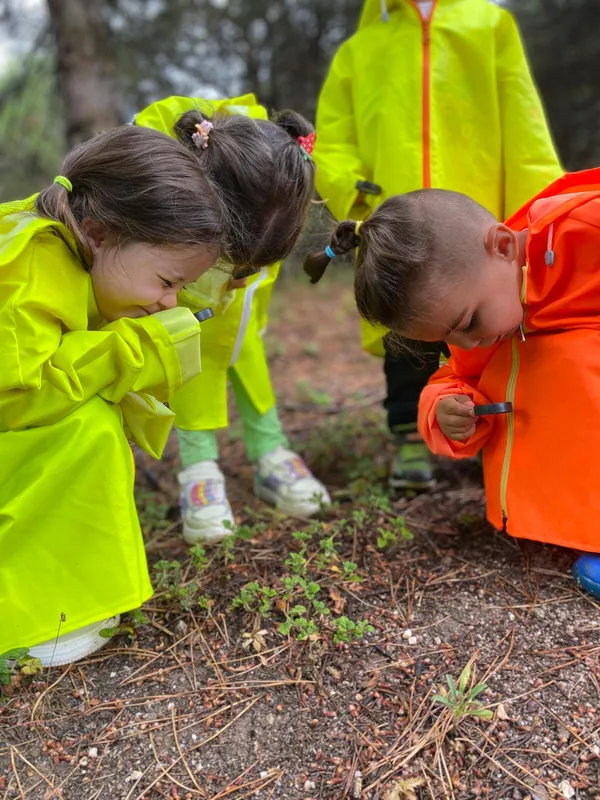 Multibem Yaz Okulu doğa etkinliği