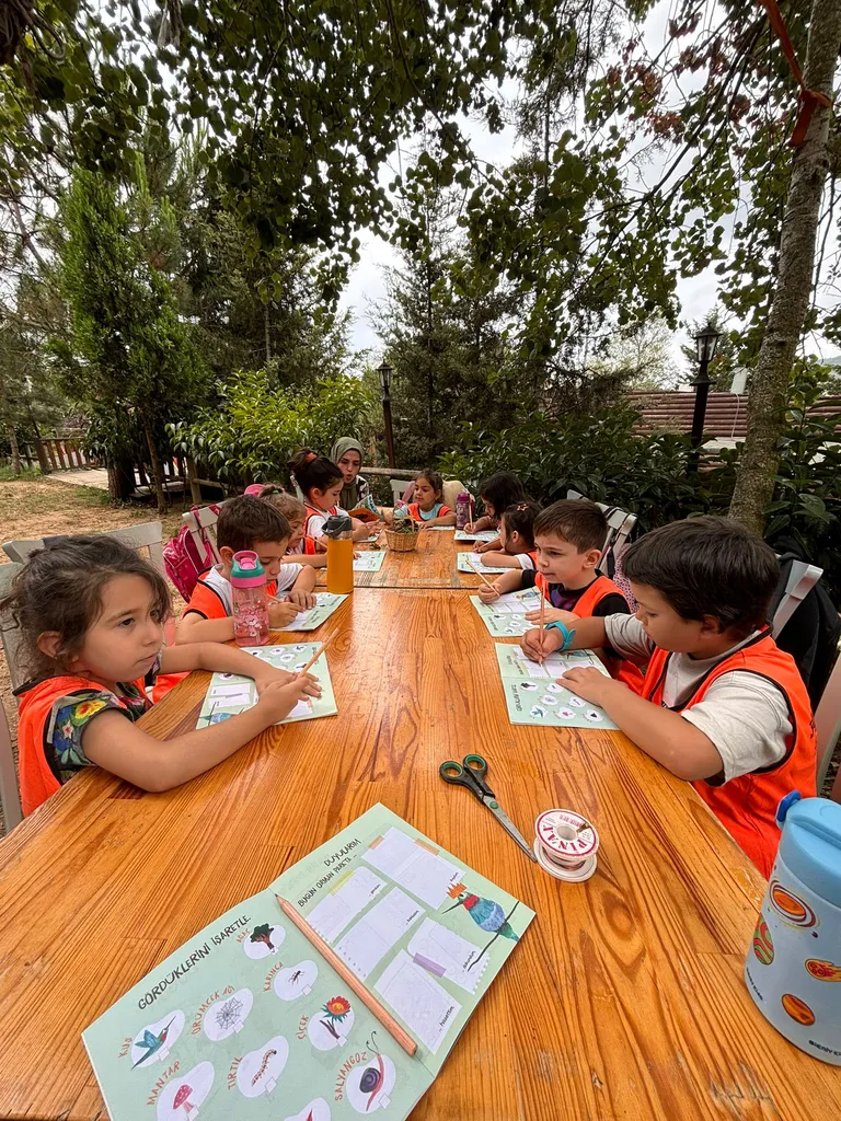 Multibem Yaz Okulu grup etkinliği