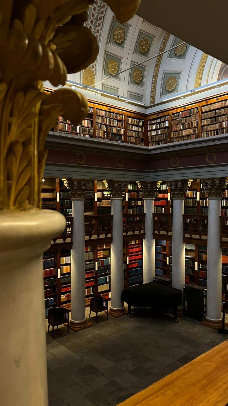 Finlandiya orman okulu çocuk aktivitesi