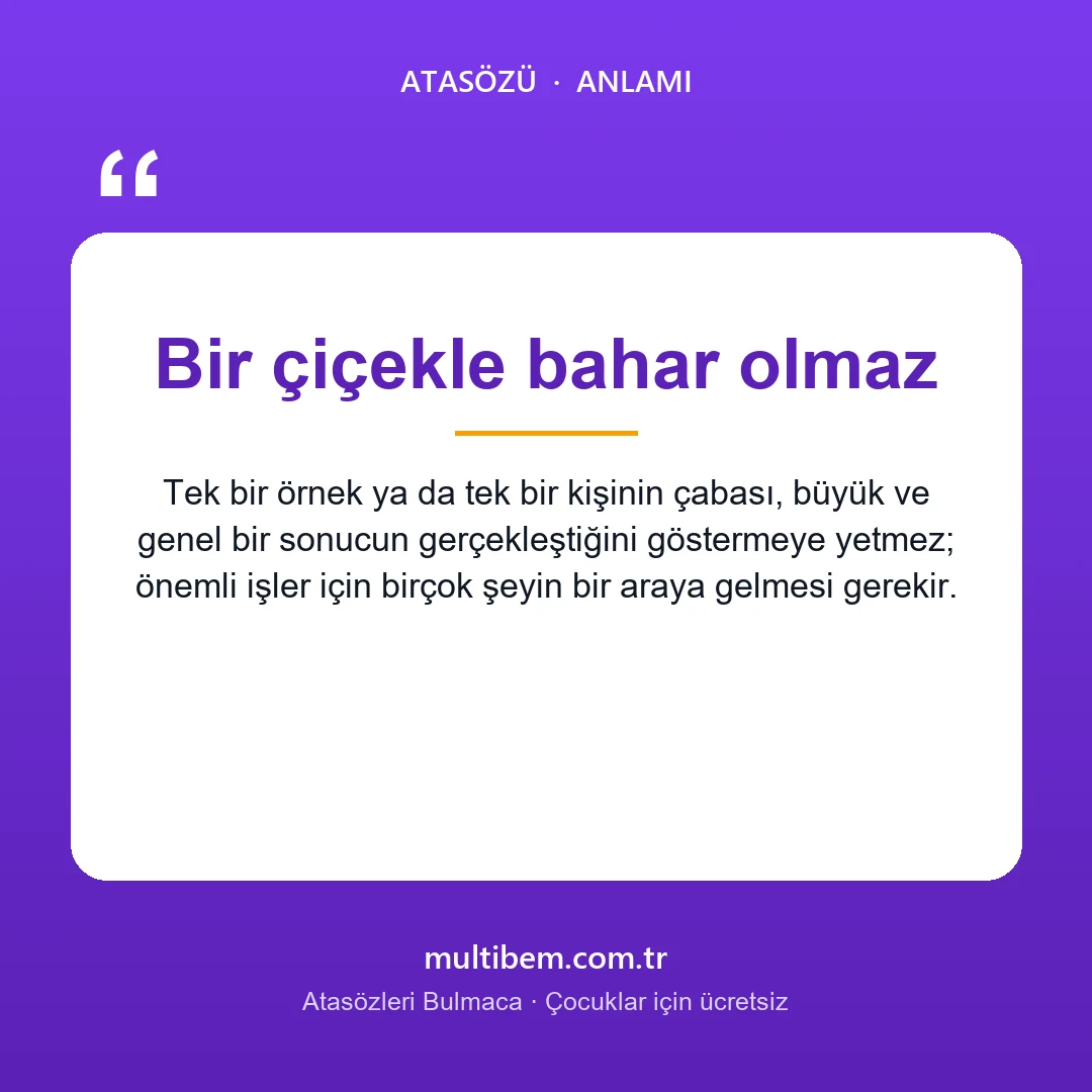 Bir çiçekle bahar olmaz atasözü resmi ve anlamı