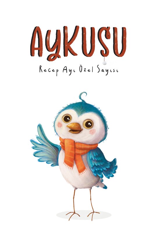 Aykuşu Dergisi: Recep Ayı Özel Sayısı kitap kapağı
