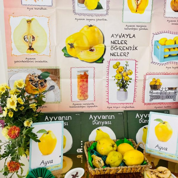 ayva 2