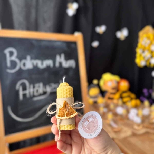 gonuldostlari_ari (2)