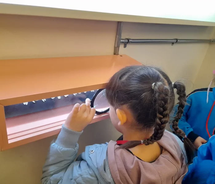 ilkokul-egitim-ornek