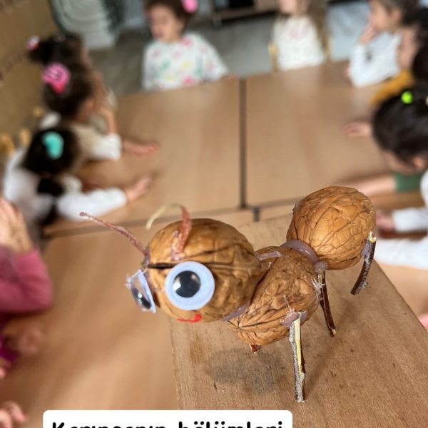 karınca